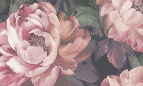 A79404 Anita