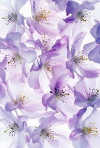 Mr Perswall Fashion P140501-4 На фото  Mr Perswall Fashion P140501-4