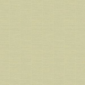 флизелиновые полностью обои светло-зеленые в гостиную Loymina с полосой Impress Sisal2005 На фото флизелиновые полностью обои светло-зеленые в гостиную Loymina с полосой Impress Sisal2005