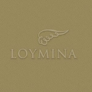 флизелиновые полностью обои коричневые в стиле хай-тек Loymina Jetset Jet7 004/1 На фото флизелиновые полностью обои коричневые в стиле хай-тек Loymina Jetset Jet7 004/1