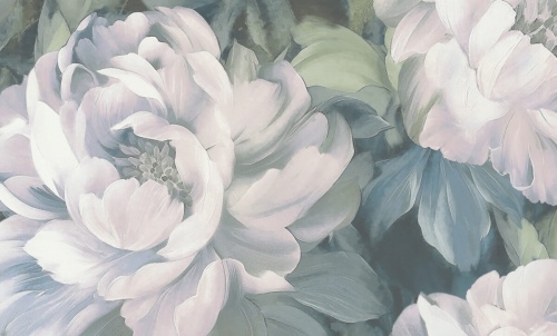 A79403 Anita