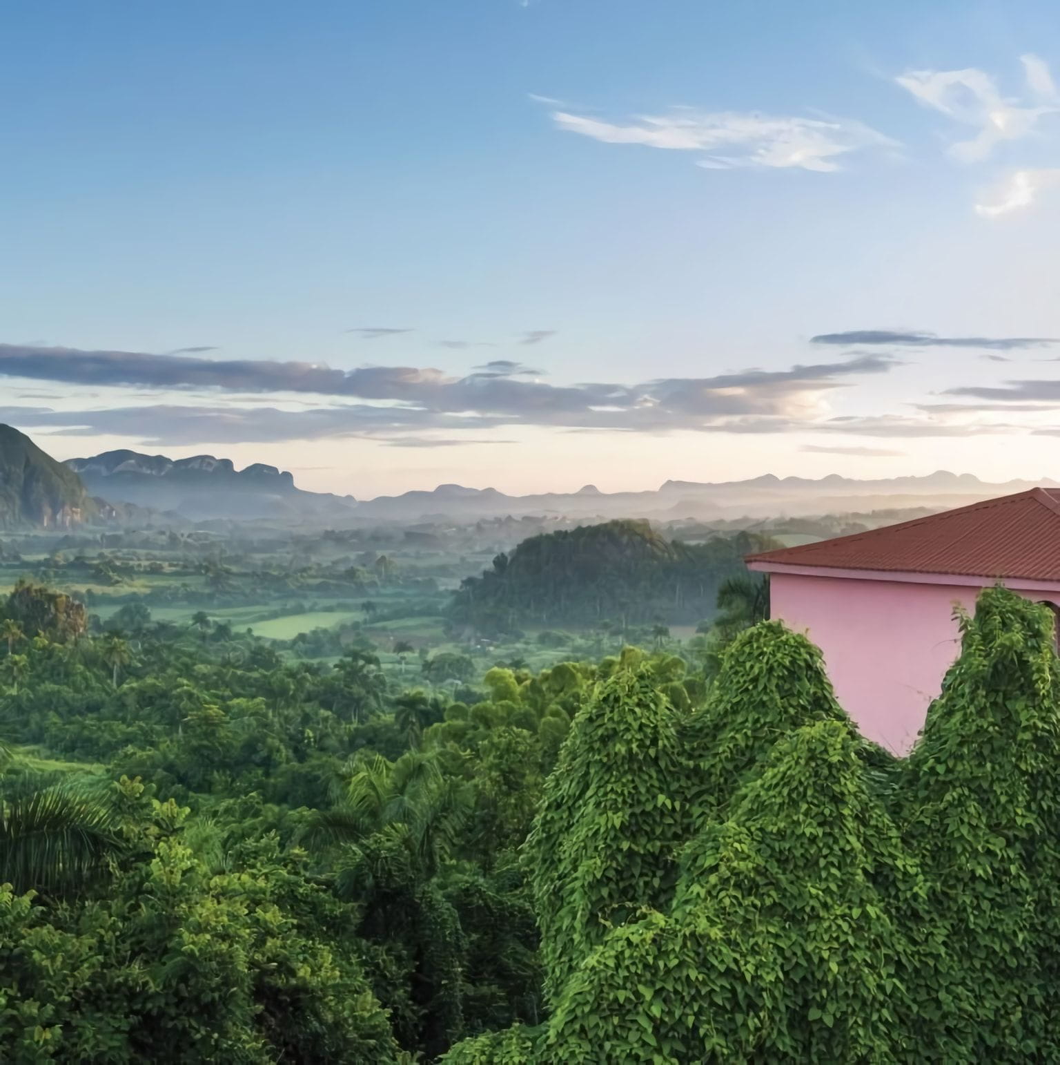 Товар добавлен в корзину