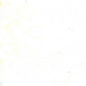французские текстильные обои белые Zuber Grand Duche 40068 BLANC На фото французские текстильные обои белые Zuber Grand Duche 40068 BLANC