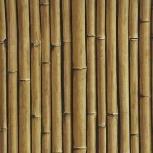 бельгийские обои коричневые Covers Elements Bamboo Buzz 25-Macadamia На фото бельгийские обои коричневые Covers Elements Bamboo Buzz 25-Macadamia