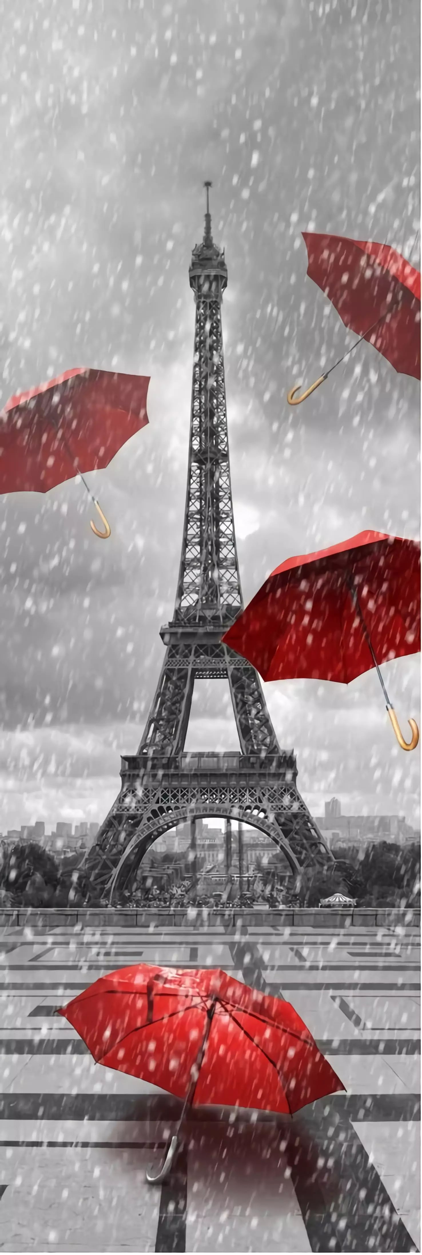 Товар добавлен в корзину