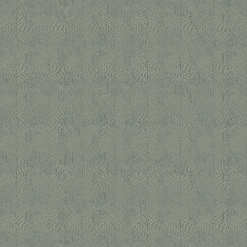 PA01622 Pavone