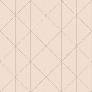 обои розовые в комнату Eco с геометрией Graphic World 8805 На фото обои розовые в комнату Eco с геометрией Graphic World 8805