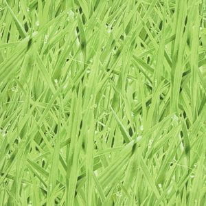 премиум бумажные обои светло-зеленые Covers с цветами  Elements Grassy Meadow 16-Moss На фото премиум бумажные обои светло-зеленые Covers с цветами  Elements Grassy Meadow 16-Moss
