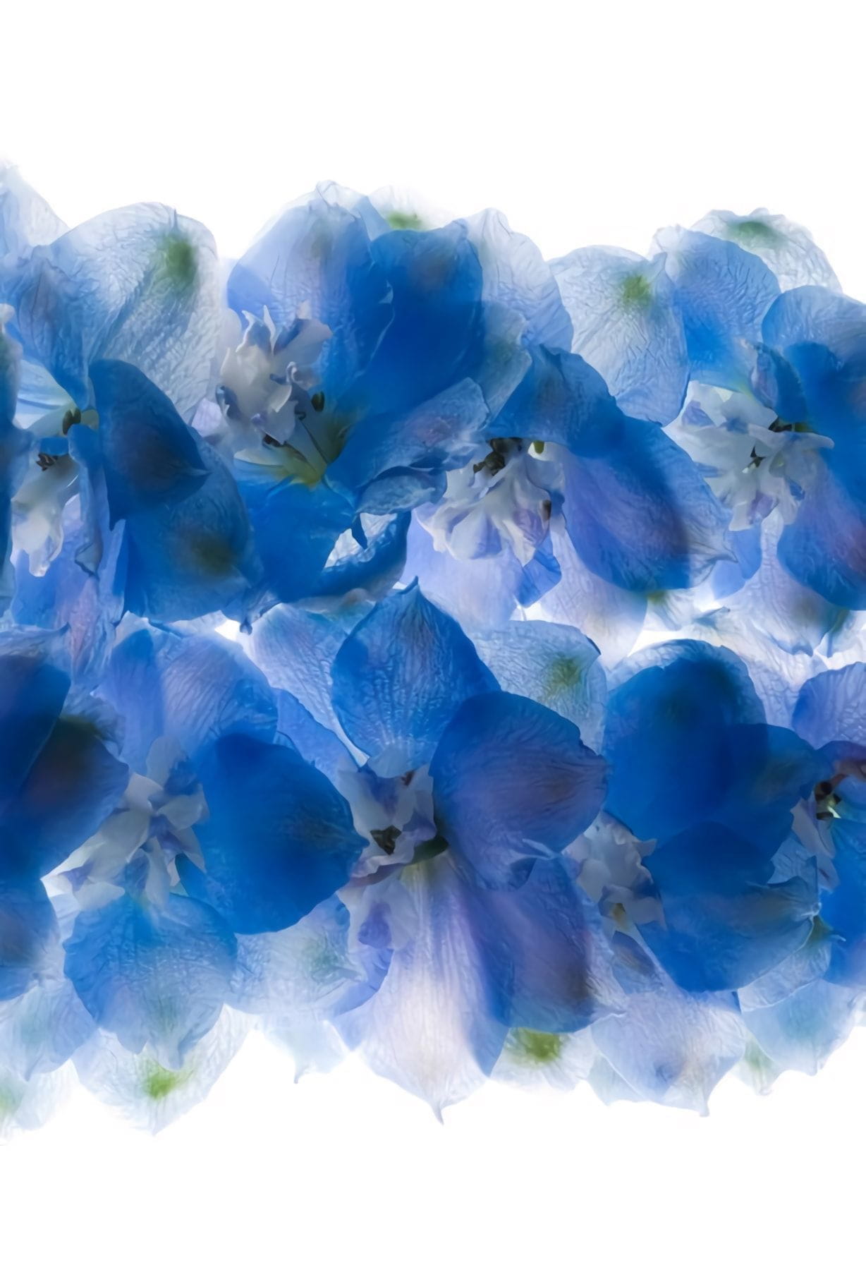 Товар добавлен в корзину