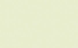 обои светло-зеленые в гостиную Erismann однотонные Light 4544-8 На фото обои светло-зеленые в гостиную Erismann однотонные Light 4544-8