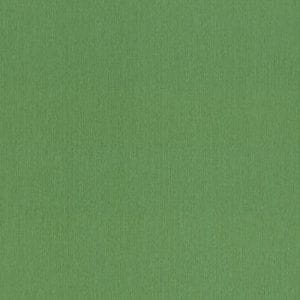 немецкие обои зеленые в гостиную тканевая фактура Rasch Barbara Home Collection 800562 На фото немецкие обои зеленые в гостиную тканевая фактура Rasch Barbara Home Collection 800562
