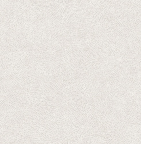585001 Markus