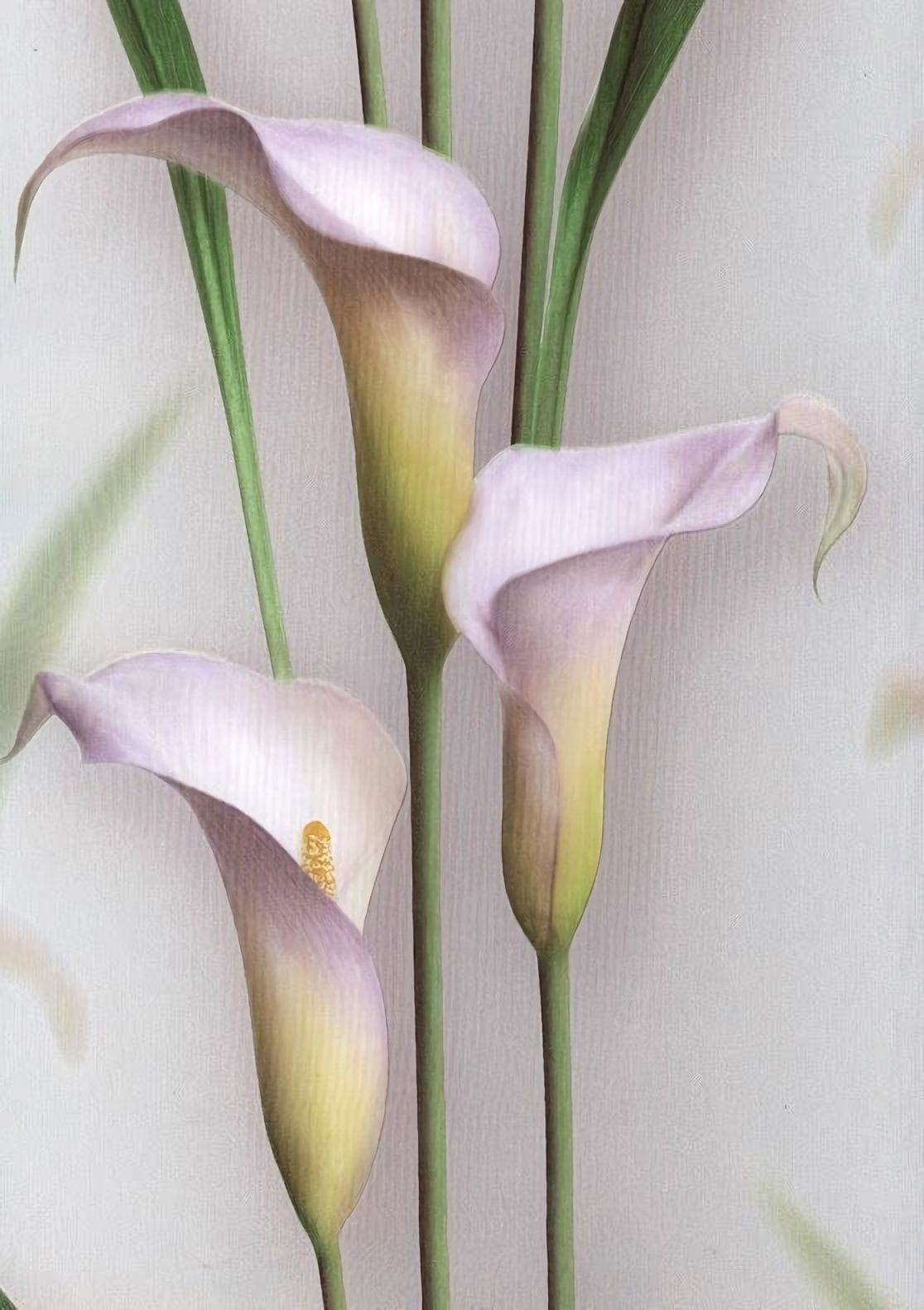 Товар добавлен в корзину