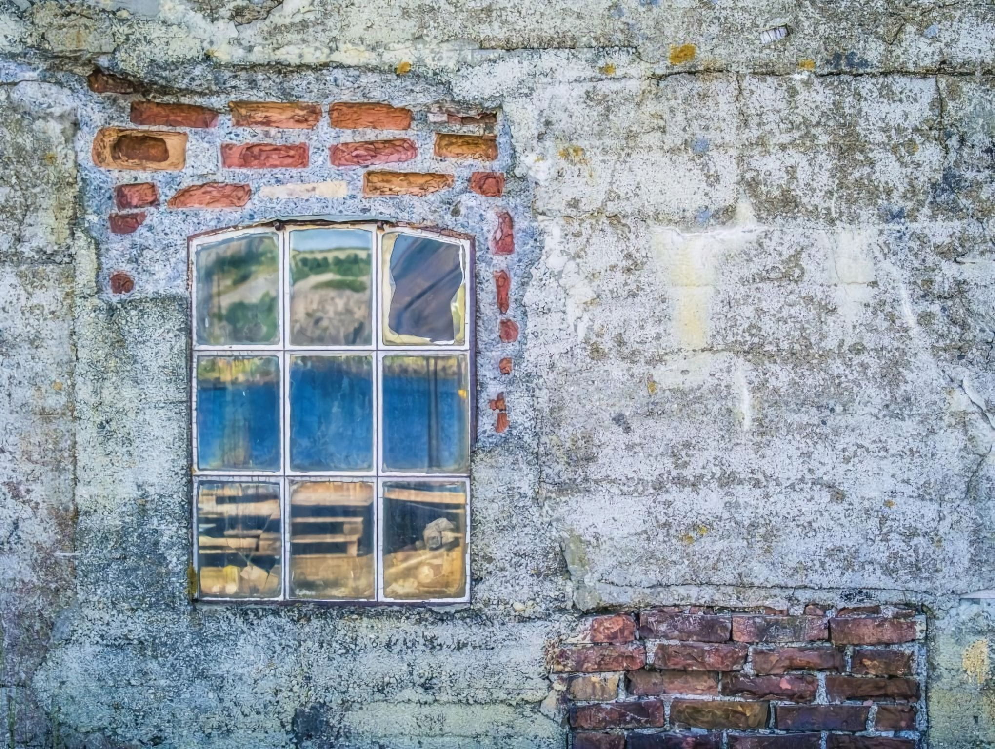 Товар добавлен в корзину