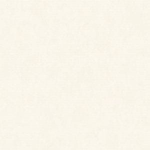 обои белые в коридор Decoprint однотонные Calico CL-16001 На фото обои белые в коридор Decoprint однотонные Calico CL-16001