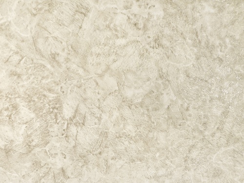 дешевые виниловые обои на бумажной основе Elysium Орион 99901 На фото дешевые виниловые обои на бумажной основе Elysium Орион 99901