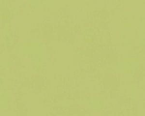 немецкие дешевые виниловые обои в гостиную однотонные стиле «модерн» AS-Creation Flavour 36694-5 На фото немецкие дешевые виниловые обои в гостиную однотонные стиле «модерн» AS-Creation Flavour 36694-5