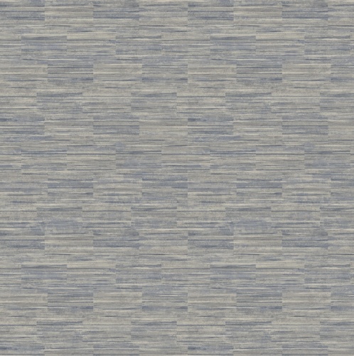 PA01610 Pavone