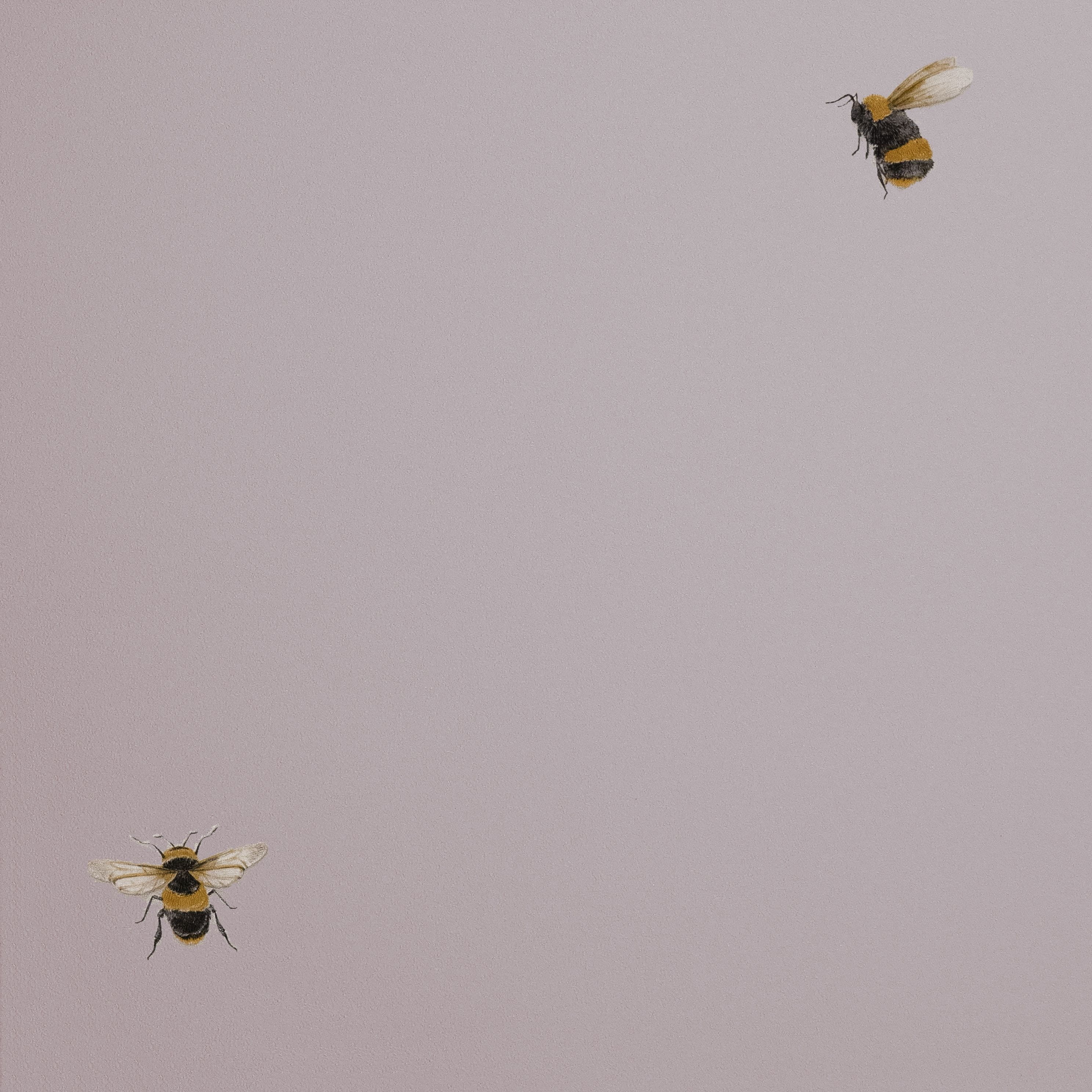 Товар добавлен в корзину