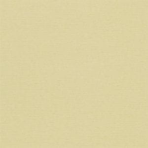 бумажные обои в комнату Sanderson однотонные Dimity 211704 На фото бумажные обои в комнату Sanderson однотонные Dimity 211704