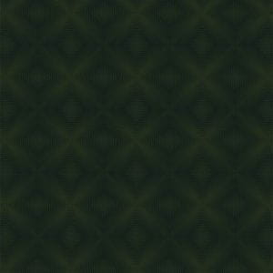бельгийские текстильные обои черные в комнату Tiffany Design стиле «модерн» Chameleon CH509 На фото бельгийские текстильные обои черные в комнату Tiffany Design стиле «модерн» Chameleon CH509