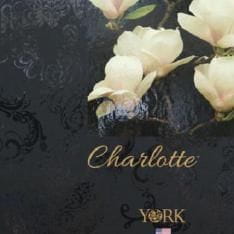 Charlotte York Charlotte