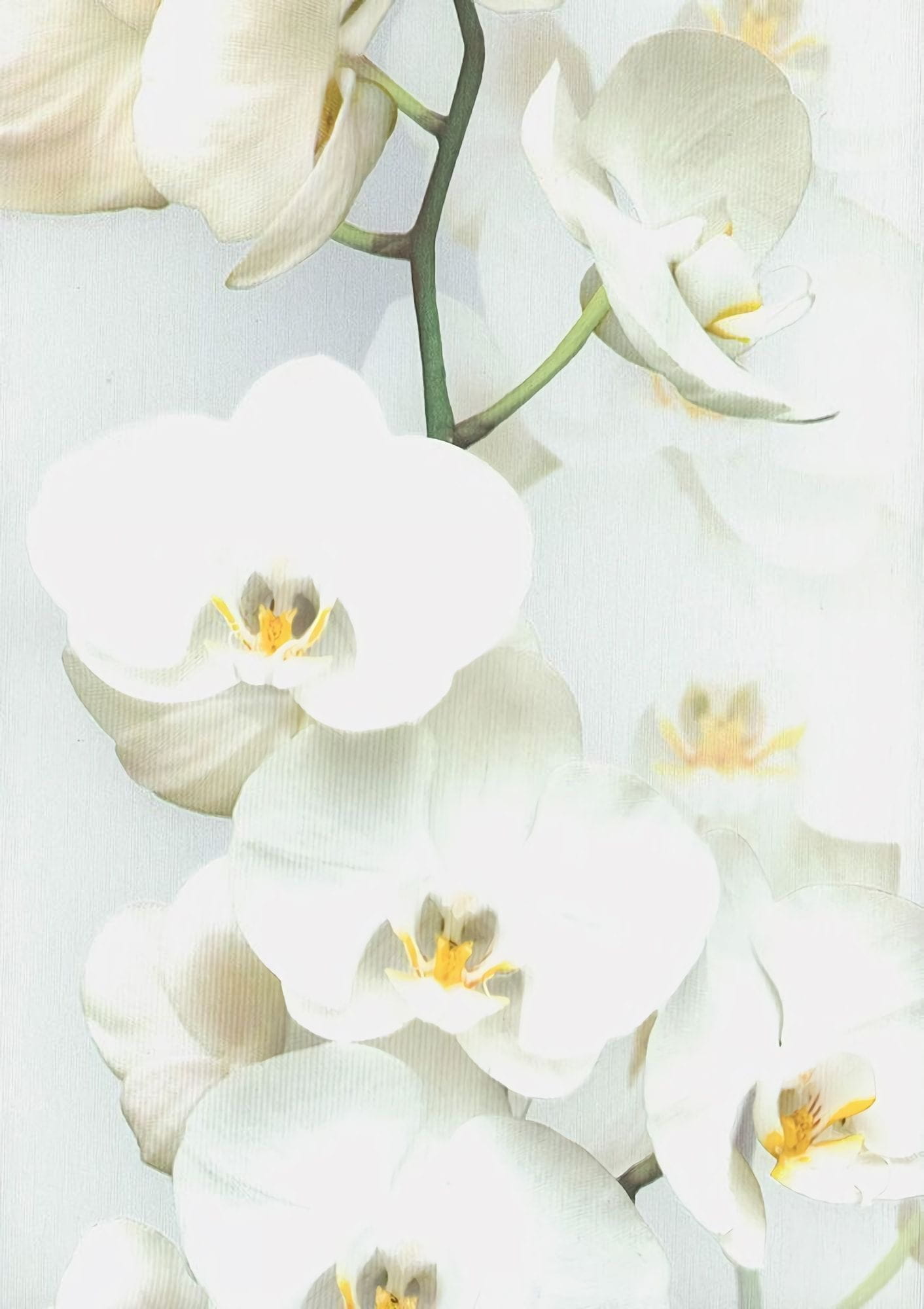 Товар добавлен в корзину