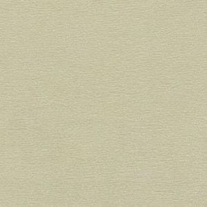 итальянские обои светло-зеленые в комнату Arlin однотонные Socotra 16-SCTR-D На фото итальянские обои светло-зеленые в комнату Arlin однотонные Socotra 16-SCTR-D