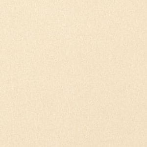 элитные обои бежевые для кухни «под штукатурку» в стиле «лофт» Thibaut Texture Resource T14125 На фото элитные обои бежевые для кухни «под штукатурку» в стиле «лофт» Thibaut Texture Resource T14125