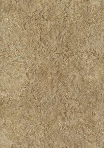 итальянские дорогие обои коричневые Roberto Cavalli Home 5 16044 На фото итальянские дорогие обои коричневые Roberto Cavalli Home 5 16044