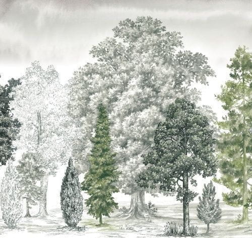 Обои Loymina Landscape 2 ART14 005 1 Обои Loymina Landscape 2 ART14 005 1