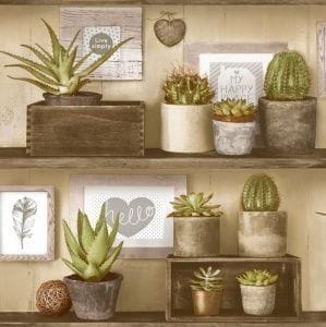 российские дешевые флизелиновые обои в комнату Euro Decor вставка Cactus 2016-05 На фото российские дешевые флизелиновые обои в комнату Euro Decor вставка Cactus 2016-05