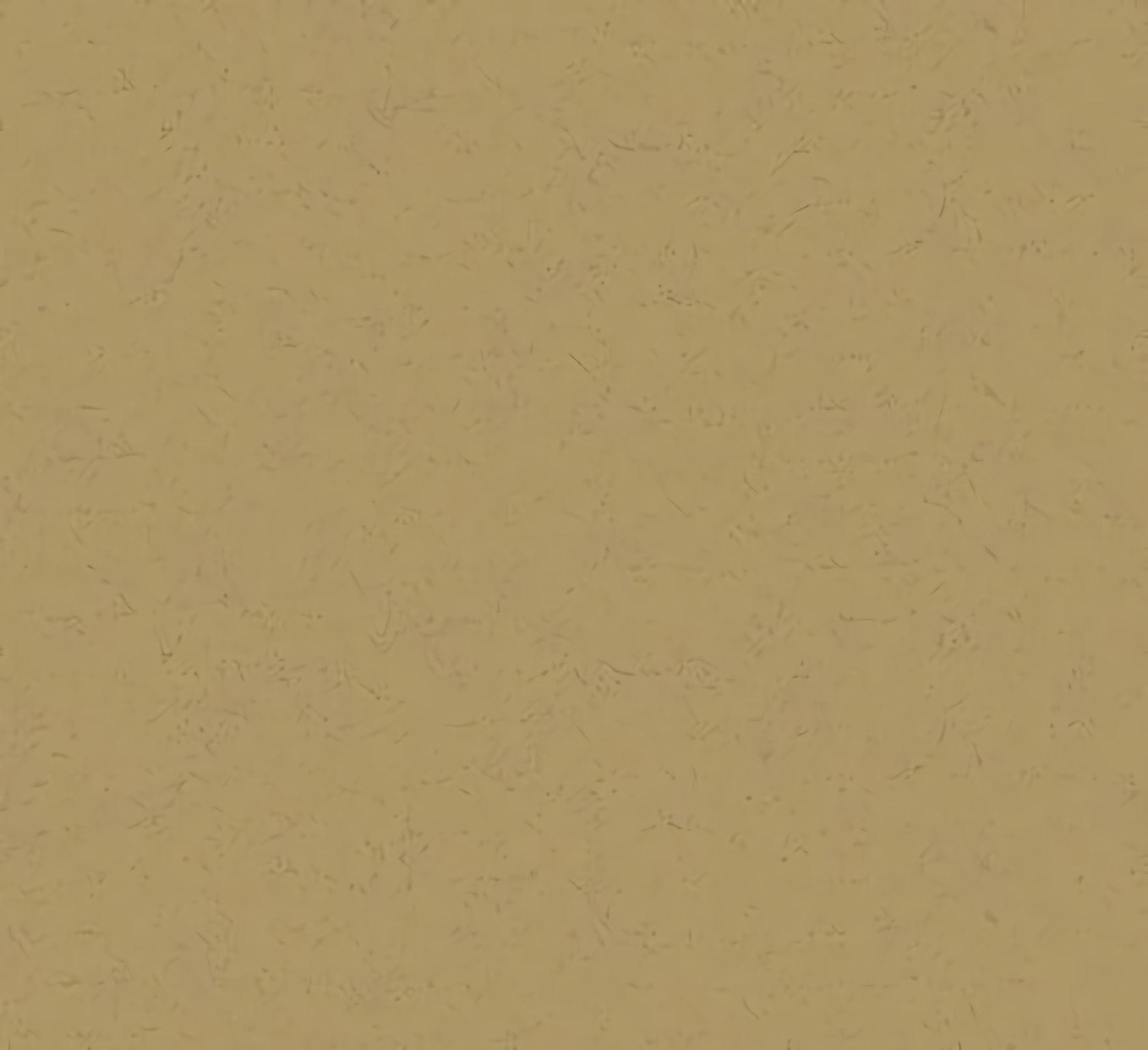 Товар добавлен в корзину