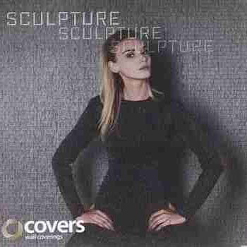 Sculpture Covers Sculpture