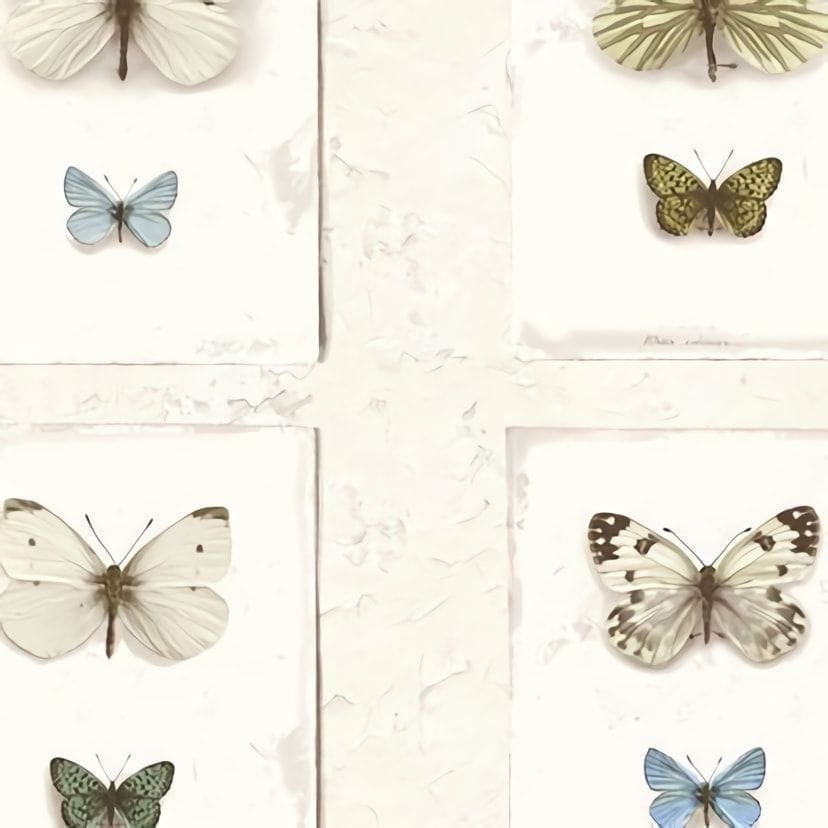 Товар добавлен в корзину