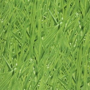 премиум бумажные обои светло-зеленые Covers с цветами  Elements Grassy Meadow 27-Grass На фото премиум бумажные обои светло-зеленые Covers с цветами  Elements Grassy Meadow 27-Grass