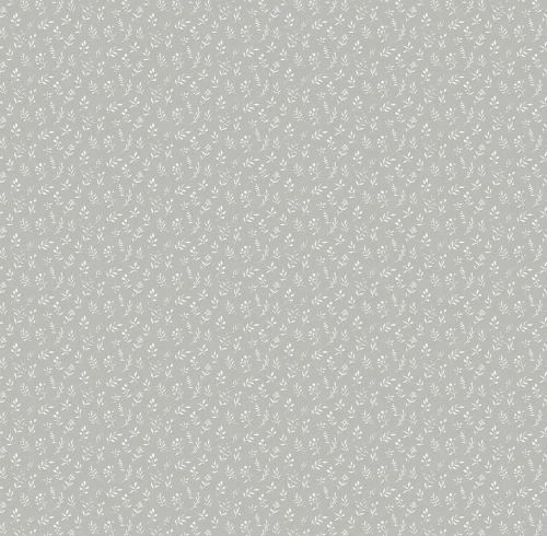 589213 Olive
