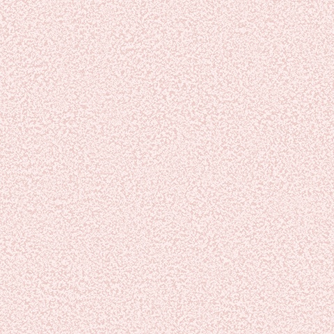 54488-8 Bocca