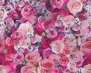 немецкие недорогие флизелиновые полностью обои в комнату AS-Creation Urban Flowers 32722-1 На фото немецкие недорогие флизелиновые полностью обои в комнату AS-Creation Urban Flowers 32722-1