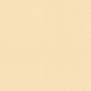 немецкие флизелиновые полностью обои в комнату Decor Deluxe Vivaldi B03002-480 На фото немецкие флизелиновые полностью обои в комнату Decor Deluxe Vivaldi B03002-480