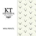 KT-Exclusive Mini Prints KT-Exclusive Mini Prints