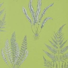 премиум бумажные обои светло-зеленые в комнату Sanderson английской стиле A Painters Garden DAPGWO101 На фото премиум бумажные обои светло-зеленые в комнату Sanderson английской стиле A Painters Garden DAPGWO101