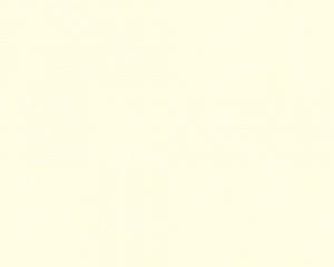 немецкие дешевые виниловые обои однотонные в классическом стиле AS-Creation Esprit 36528-3 На фото немецкие дешевые виниловые обои однотонные в классическом стиле AS-Creation Esprit 36528-3