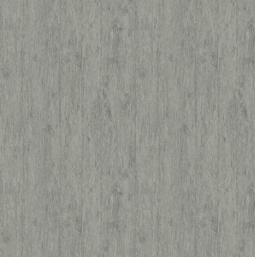 PA01637 Pavone