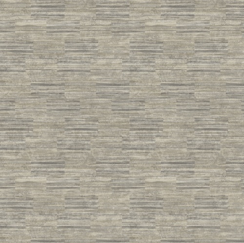 PA01613 Pavone