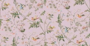 премиум бумажные обои розовые в комнату Cole Son с птицами Collection of Flowers 62/1003 На фото премиум бумажные обои розовые в комнату Cole Son с птицами Collection of Flowers 62/1003