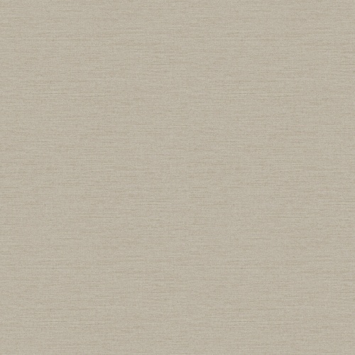 PA01606 Pavone