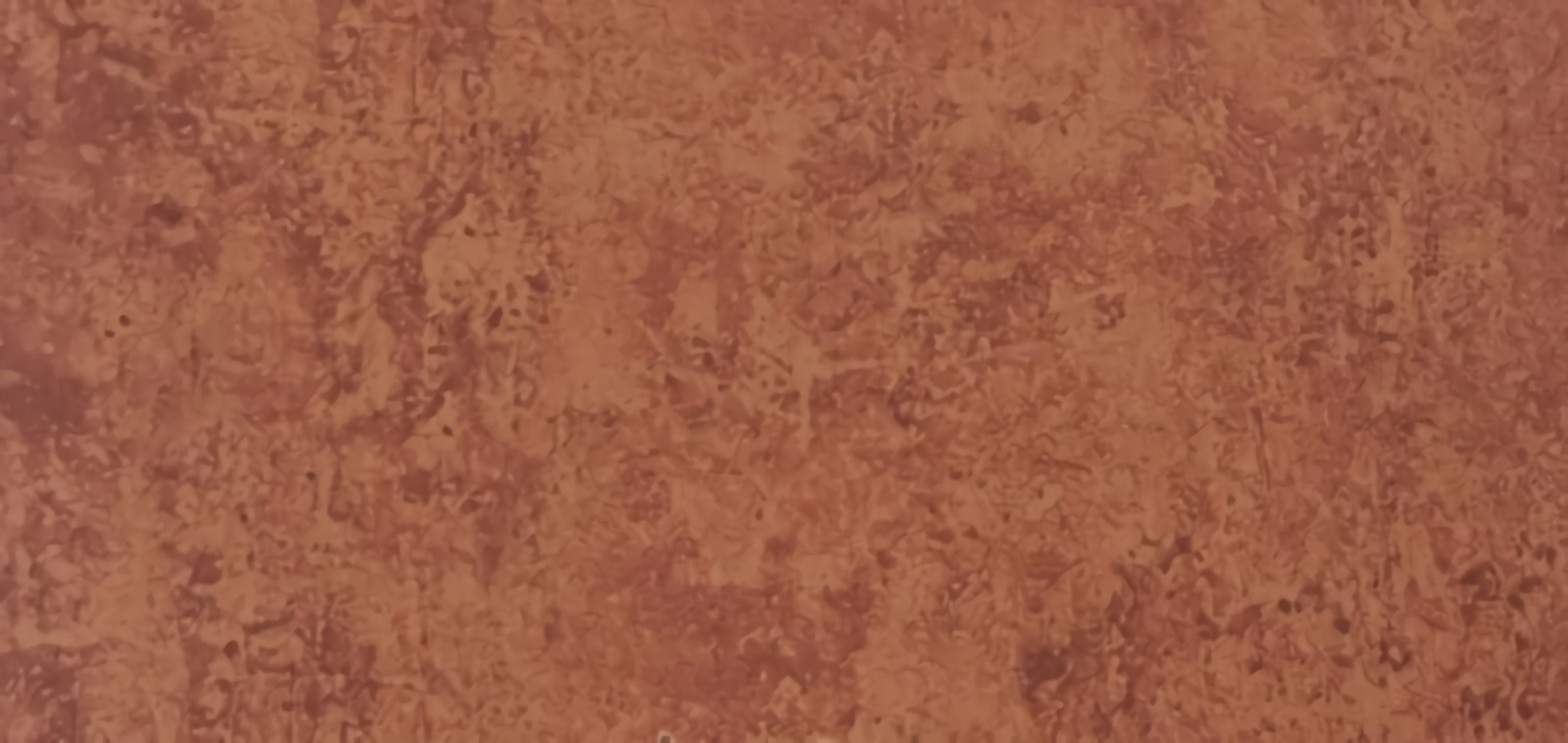 Товар добавлен в корзину