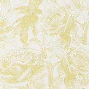 обои желтые в гостиную Clarke&Clarke Floribunda W0037-08 На фото обои желтые в гостиную Clarke&Clarke Floribunda W0037-08