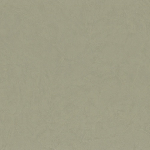 Z46053 Trussardi 6